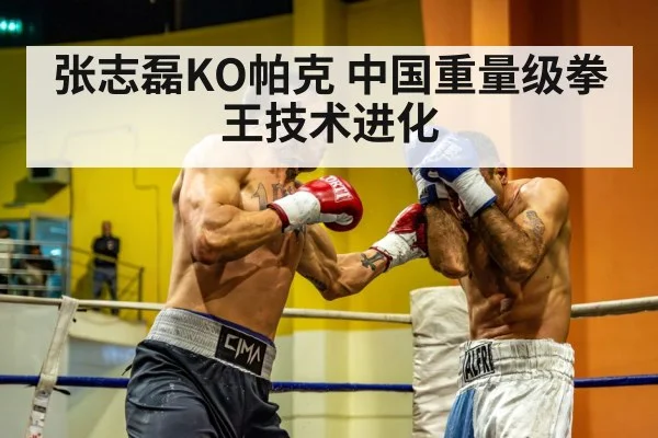 张志磊KO帕克 中国重量级拳王技术进化